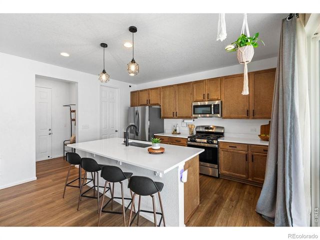 1228 Argali Drive, Severance, CO 80550