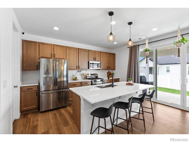 1228 Argali Drive, Severance, CO 80550