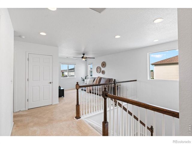 1228 Argali Drive, Severance, CO 80550