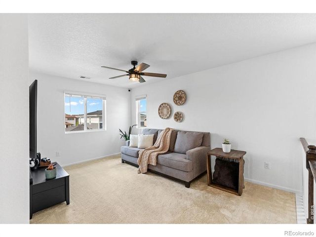 1228 Argali Drive, Severance, CO 80550