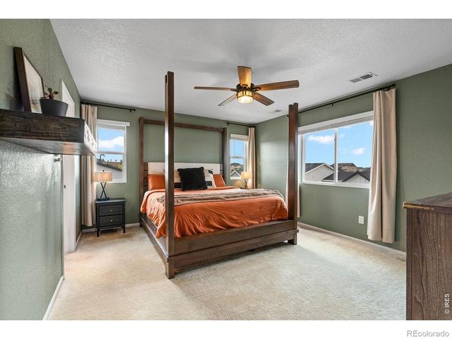 1228 Argali Drive, Severance, CO 80550
