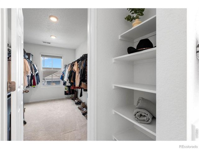 1228 Argali Drive, Severance, CO 80550