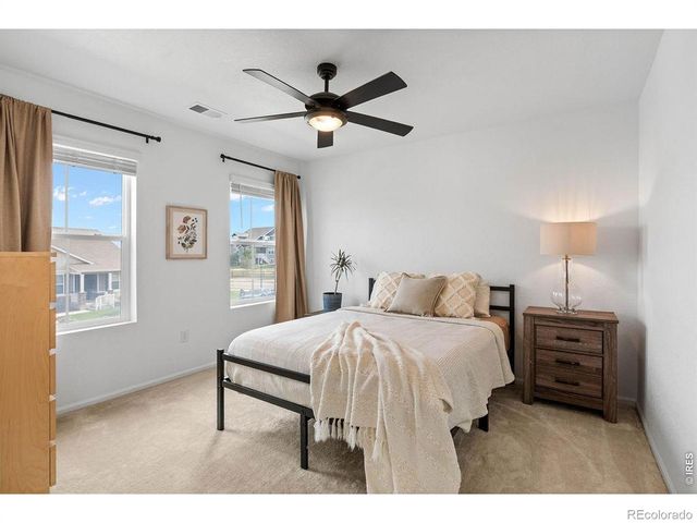 1228 Argali Drive, Severance, CO 80550