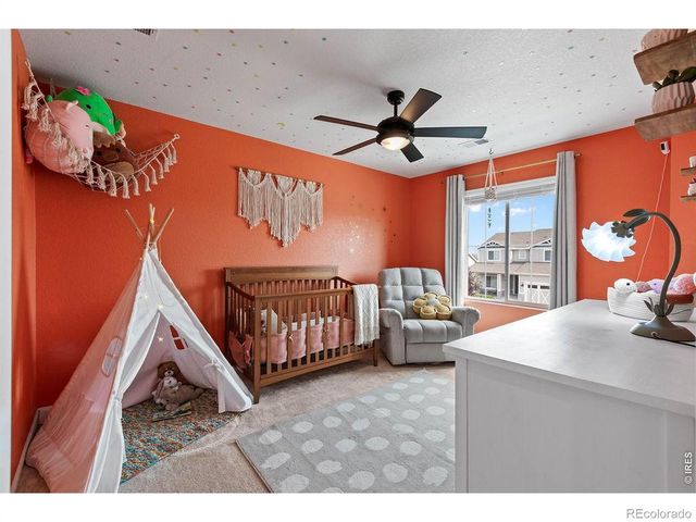 1228 Argali Drive, Severance, CO 80550