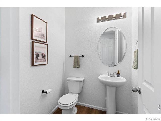 1228 Argali Drive, Severance, CO 80550