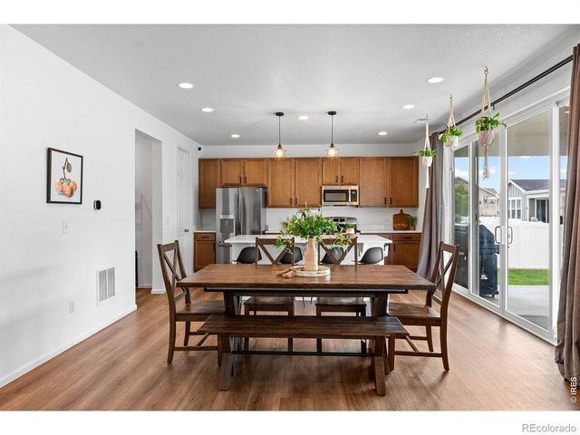 1228 Argali Drive, Severance, CO 80550
