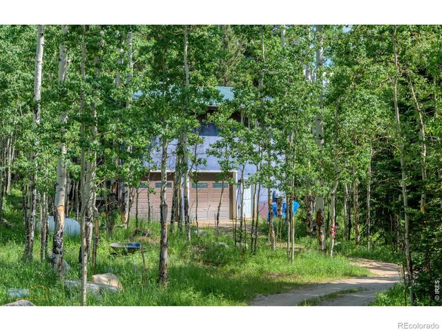 46525 Highway 72, Ward, CO 80481