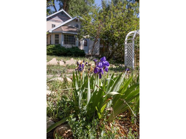 319 W Arkansas St, Buena Vista, CO 81211