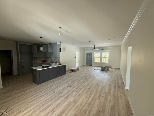 516 Madeleine Circle, Austin, AR 72007