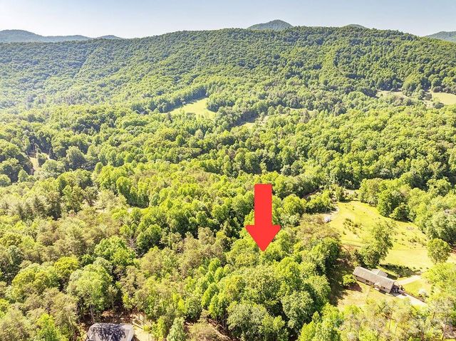 99999 Suddreth Lane, Candler, NC 28715