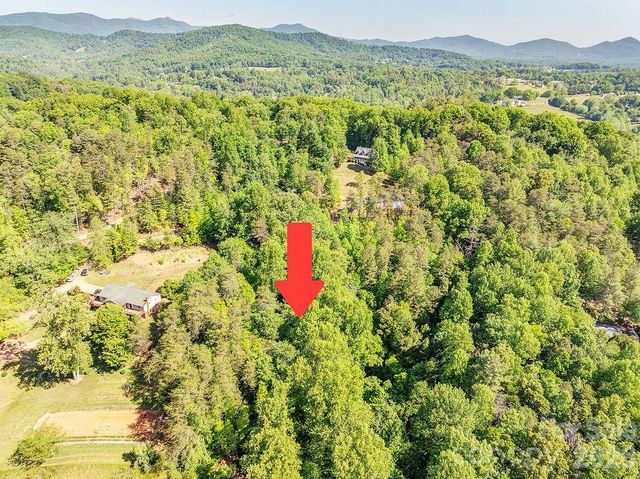 99999 Suddreth Lane, Candler, NC 28715
