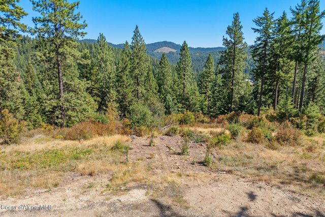 NNA Hanson Rd, Harrison, ID 83833