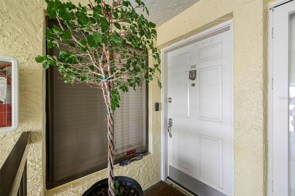 Image 6 of property listing at 7300 SUNSHINE SKYWAY LANE S 210, St Petersburg, FL 33711