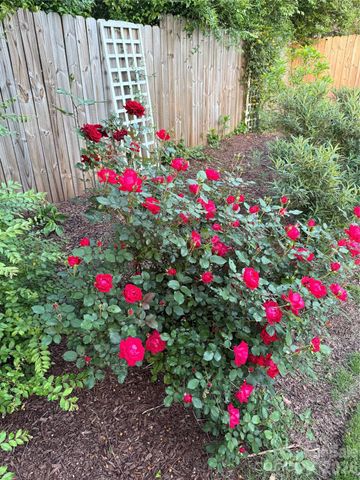 3534 Simmons Street, Charlotte, NC 28208