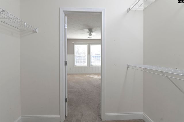 281 Castlebury Drive, Columbia, SC 29229