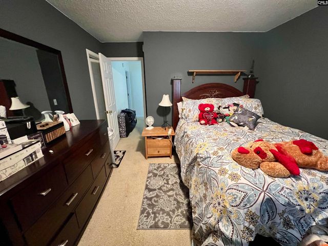 310 Wintergreen Road, Columbia, SC 29229