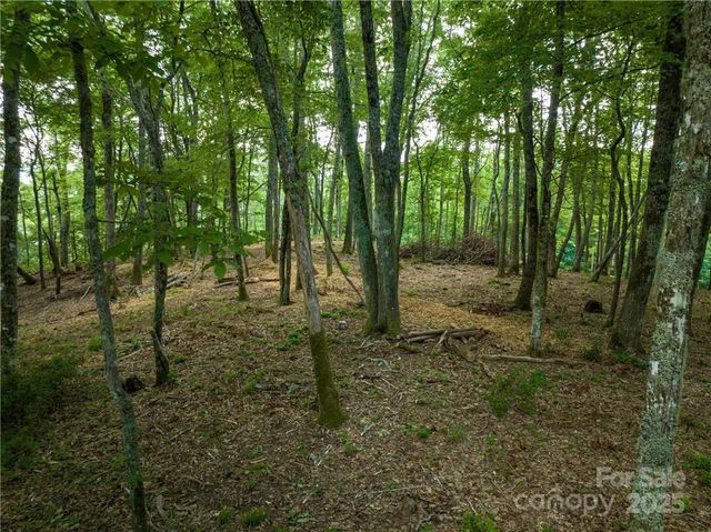 167 Bold Springs Road, Sylva, NC 28779