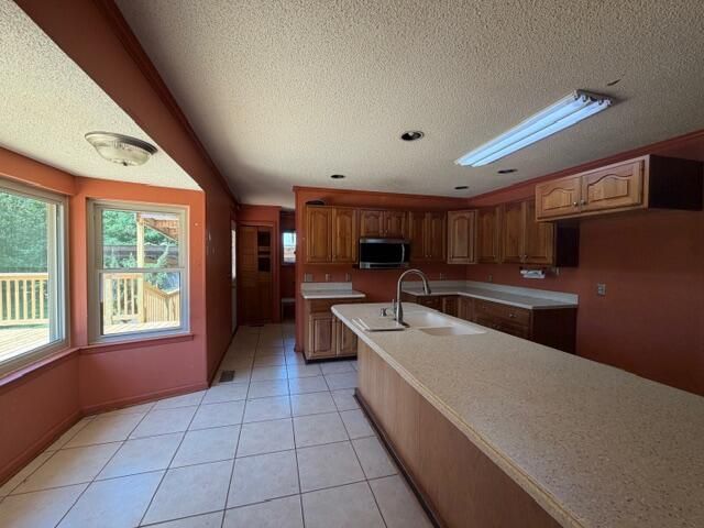 11818 Mcghee Road, Apison, TN 37302