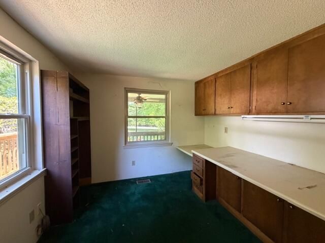 11818 Mcghee Road, Apison, TN 37302