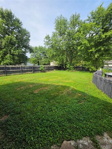 704 Camilla Street, Park Hills, MO 63601