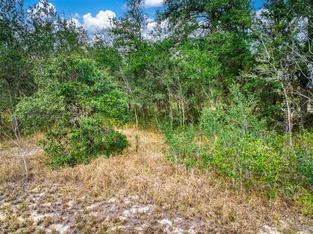 2713 W Hasbrouck Road, Avon Park, FL 33825