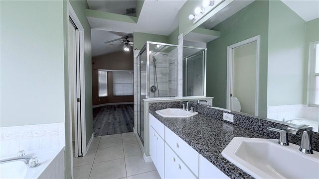 10216 OASIS PALM DRIVE, Tampa, FL 33615