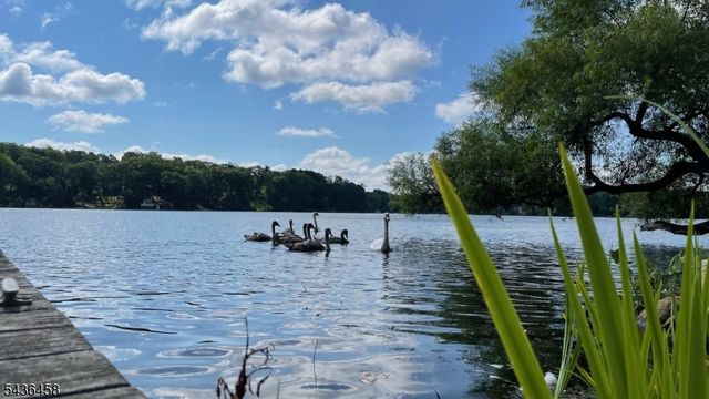 134 Cedar Lk, Denville Twp., NJ 07834
