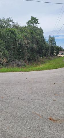Lot 15 OLIVE WAY, Ocala, FL 34472
