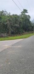 Lot 15 OLIVE WAY, Ocala, FL 34472