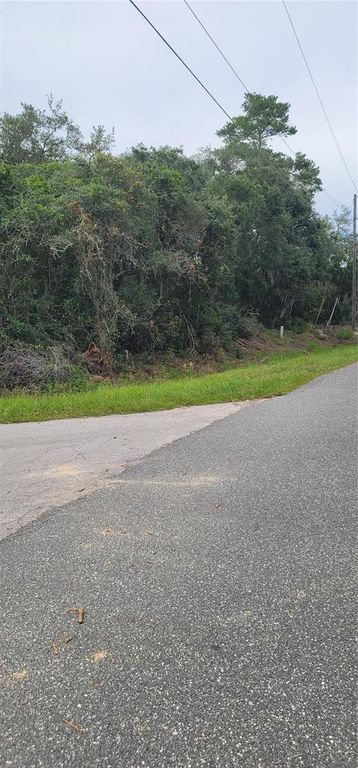 Lot 15 OLIVE WAY, Ocala, FL 34472