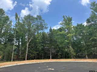 2405 Bent Creek Trail, Tyler, TX 75703
