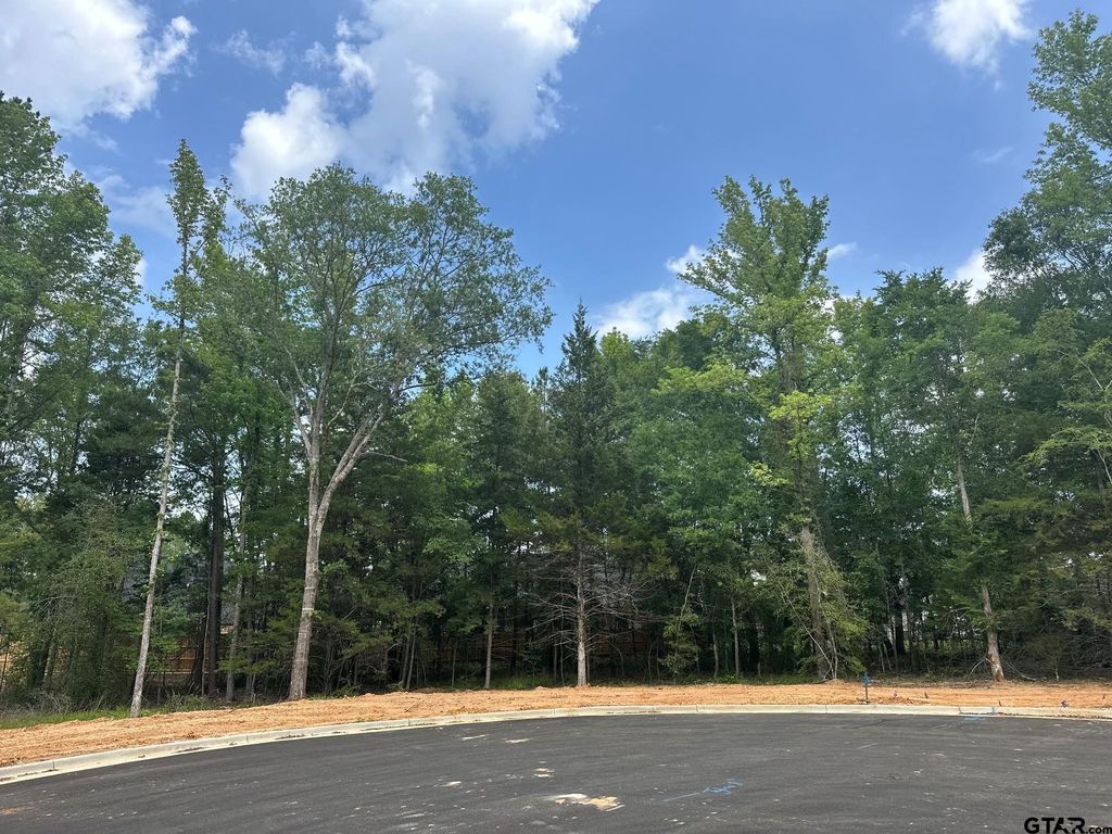 2405 Bent Creek Trail, Tyler, TX 75703