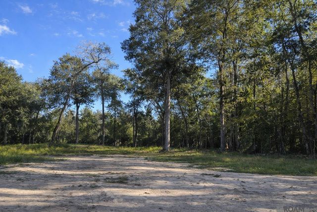 Lots TBD Live Oak Dr, Denham Springs, LA 70706