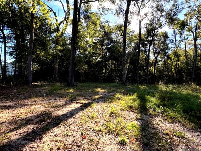 Lots TBD Live Oak Dr, Denham Springs, LA 70706