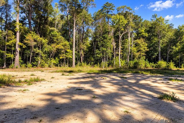 Lots TBD Live Oak Dr, Denham Springs, LA 70706
