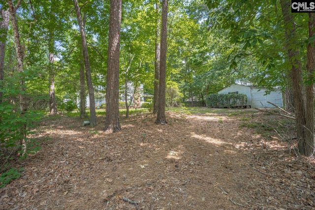 221 Baron Road, Lexington, SC 29072