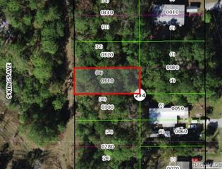 3193 S Kings Avenue, Homosassa, FL 34448
