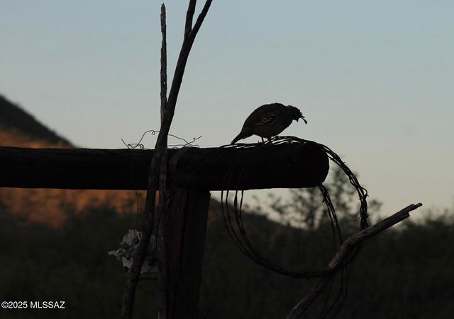 17047 S Sierrita Mountain Road S, Tucson, AZ 85736