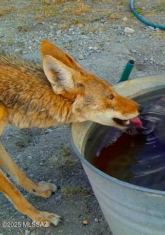 17047 S Sierrita Mountain Road S, Tucson, AZ 85736