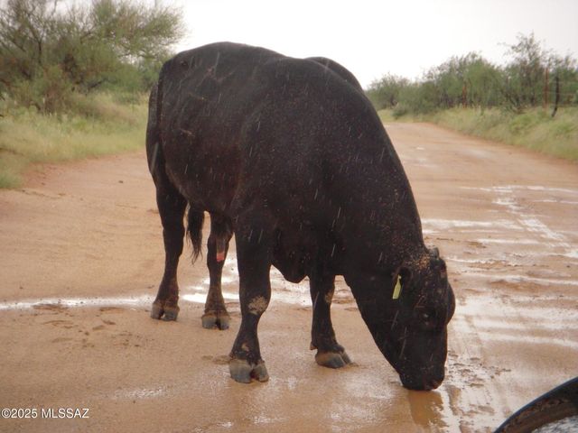 17047 S Sierrita Mountain Road S, Tucson, AZ 85736