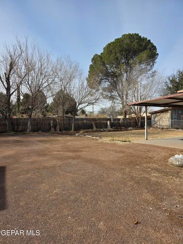 7332 N LOOP Drive, El Paso, TX 79915
