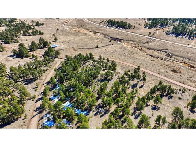 50 Stage Coach Rd, Guffey, CO 80820