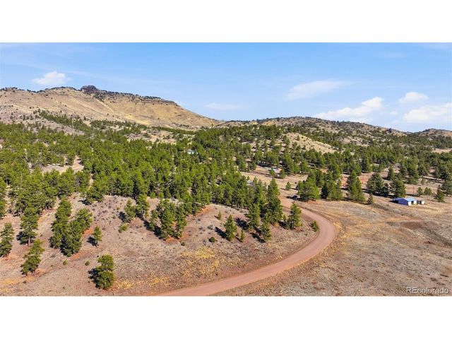 50 Stage Coach Rd, Guffey, CO 80820