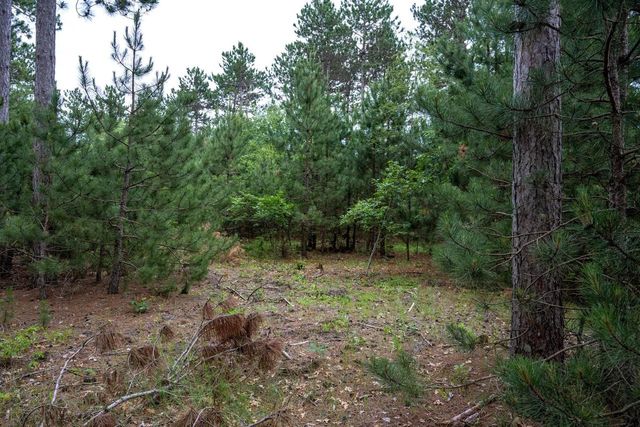 Lot 1 Bollig Court, Nekoosa, WI 54457