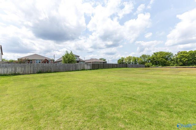 118 Drupelet Lane, Meridianville, AL 35759