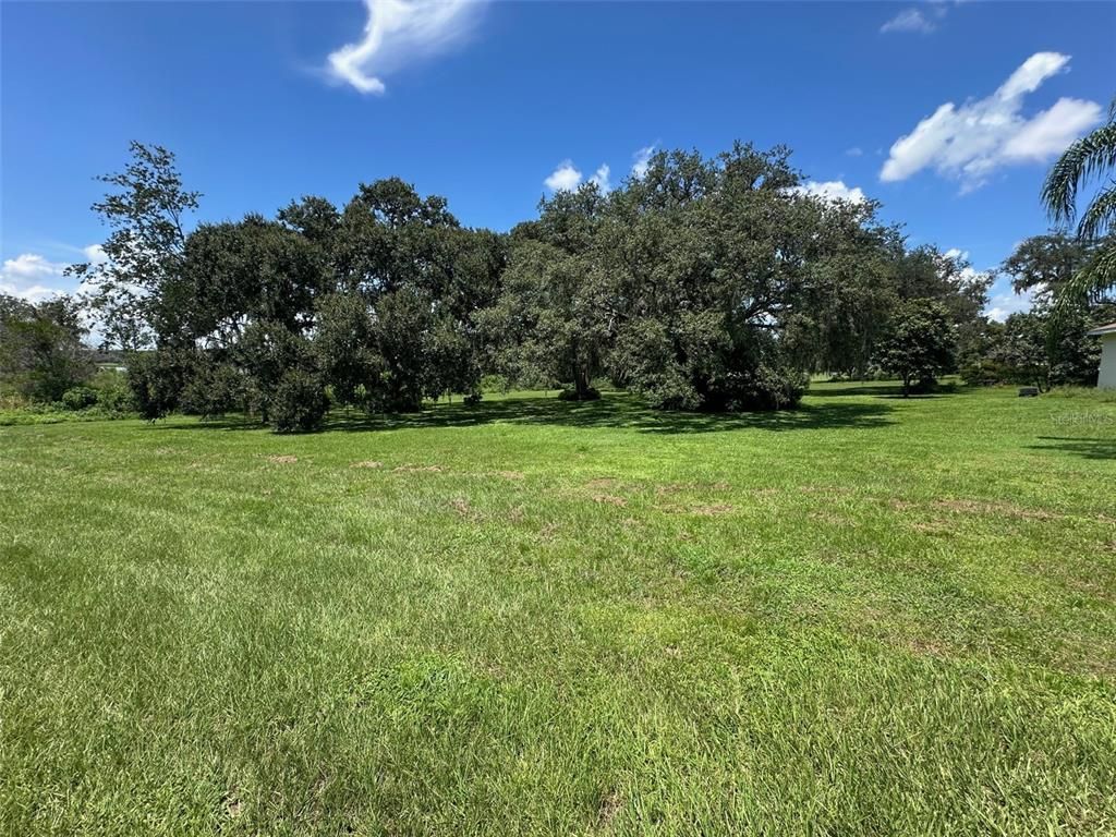 LALLEMAND DRIVE, Dade City, FL 33525