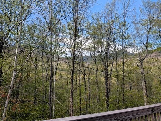 10 Kernwood Dr Unit 3, Lincoln, NH 03251