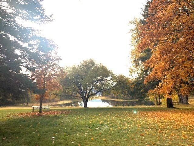 1353 Lake Roosevelt Way, Kettle Falls, WA 99141