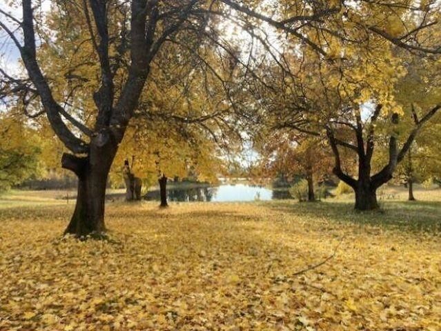 1353 Lake Roosevelt Way, Kettle Falls, WA 99141