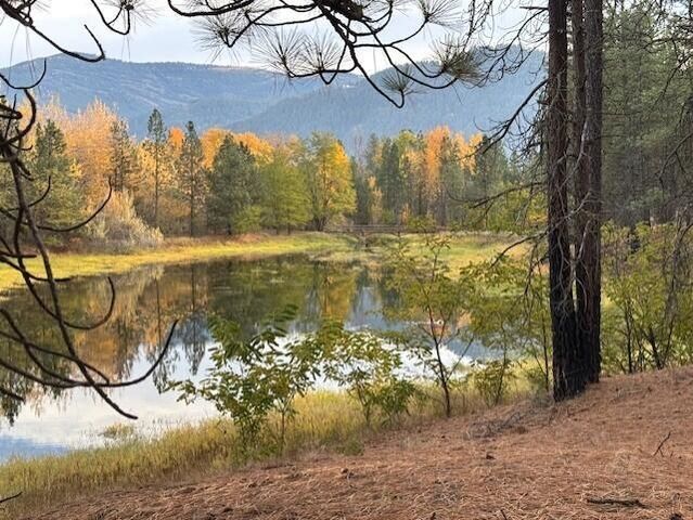 1353 Lake Roosevelt Way, Kettle Falls, WA 99141